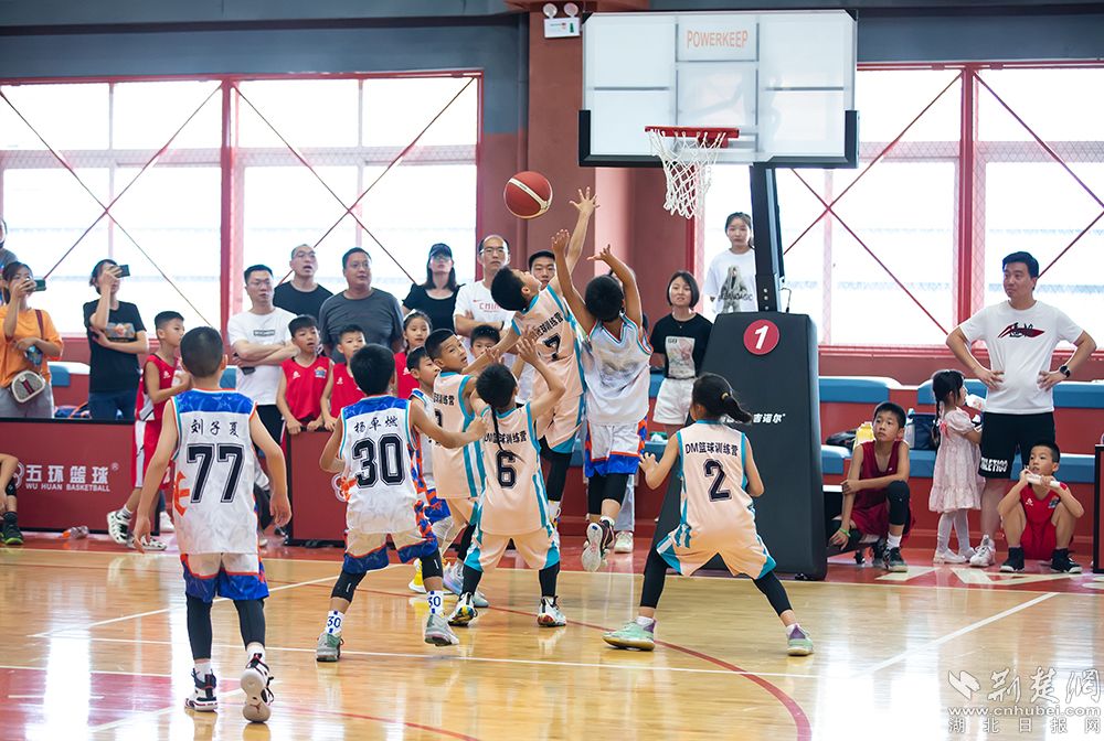 包含青少年篮球“星火计划”开启，培养多样化运动人才的词条