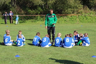 华体会网站-中国篮球教练员战术创新能力培养及培训机制研究，全国篮球教练员岗位培训