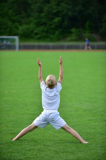 华体会官网入口-高校体育专业课程体系动态调整研究，全国普通高校体育教育专业课程方案