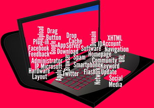 华体会体育网登录-CBA开展球员社交媒体管理课程提高职业素养，运动员社交媒体